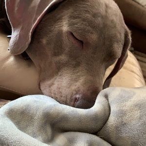 Meet your Posher, Angie